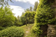 geco-04.05.2026-camaiore-farneti-019