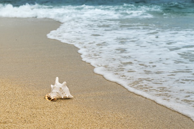 spiaggia