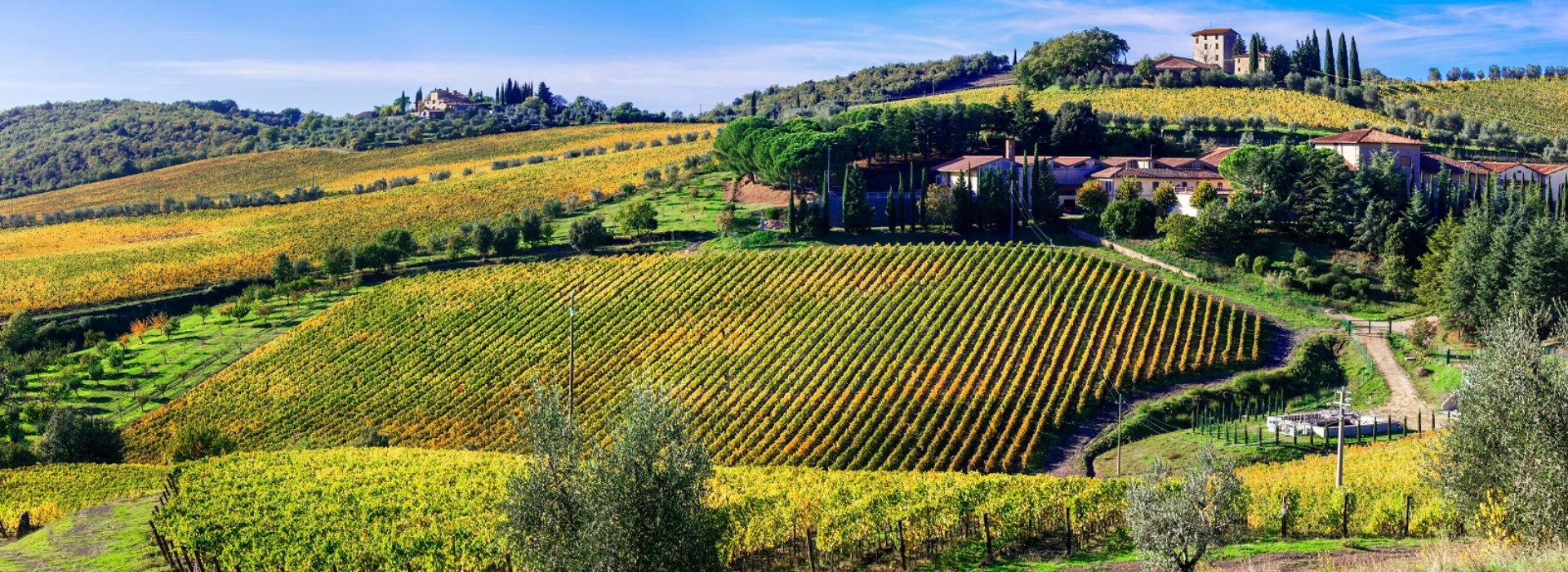 5 Curiosità sul Brunello di Montalcino che Non Conosci