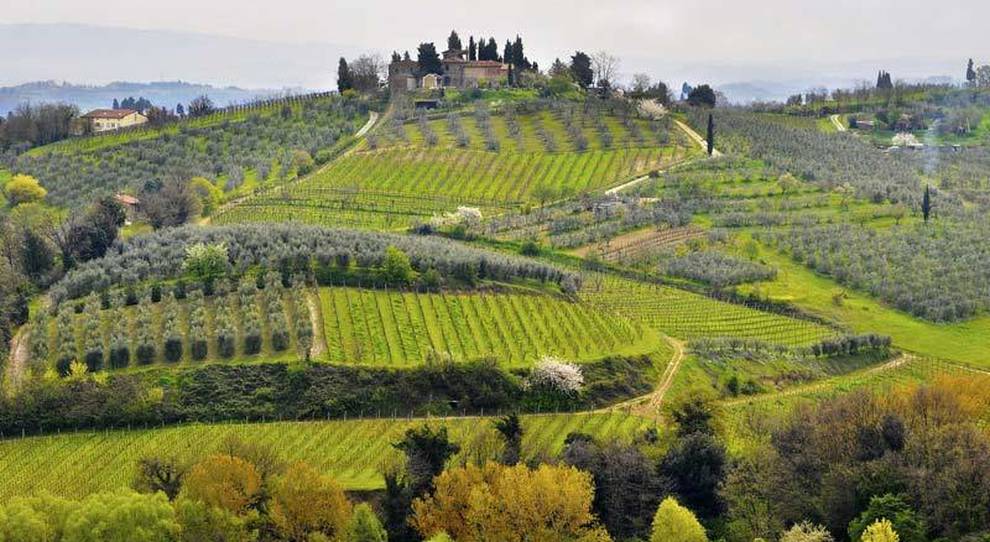 Chianti Classico: 7 Motivi per Amarlo e Degustarlo 