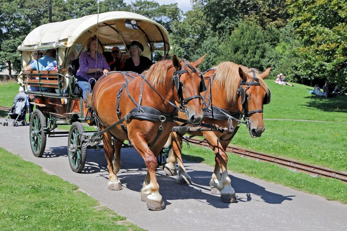 horse-drawn-cart-4775453_1280 5 Esperienze Uniche da Vivere in Toscana