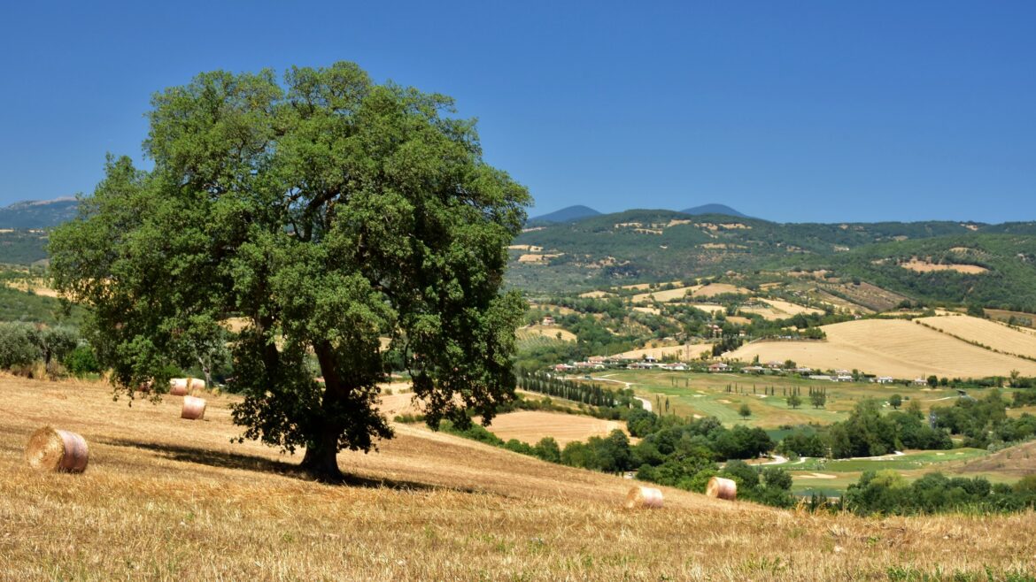 7 Luoghi Segreti della Maremma