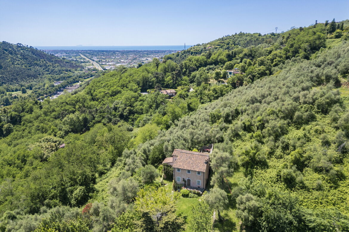 Villa con giardino Camaiore